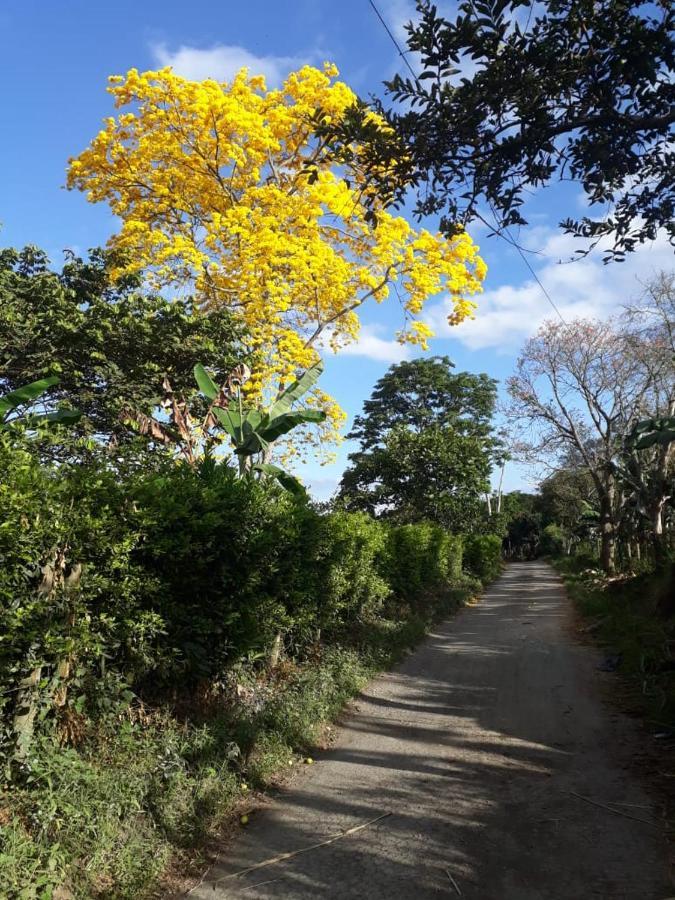 Finca Hotel El Diamante Каларка Экстерьер фото