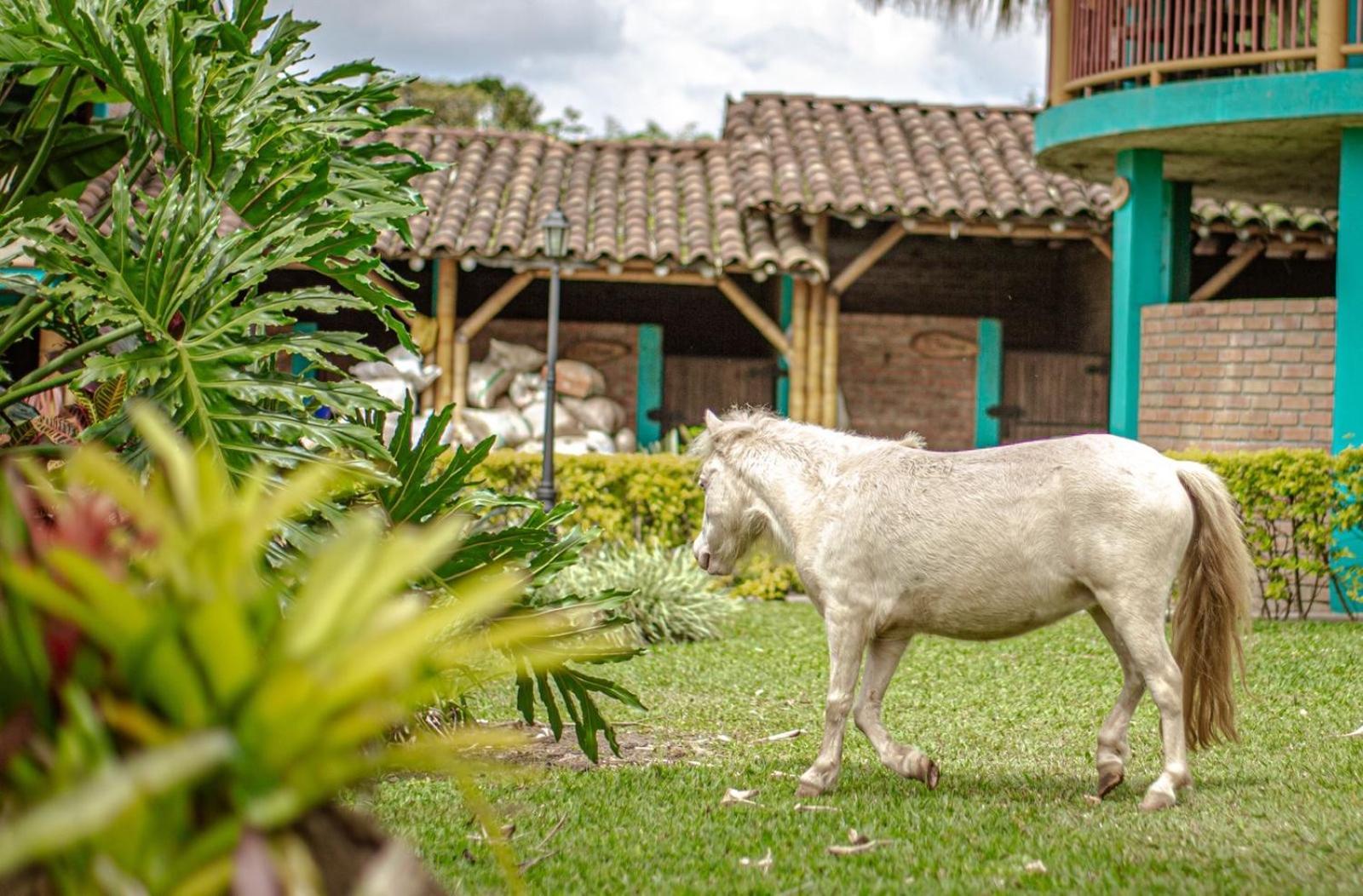 Finca Hotel El Diamante Каларка Экстерьер фото