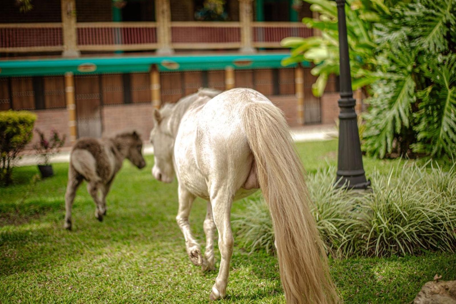 Finca Hotel El Diamante Каларка Экстерьер фото